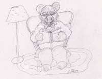 Wise old bear
